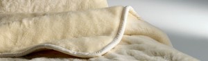 coperta-lana-merinos testata