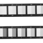 Scala dei grigi dello scarico Gray scale of transfer