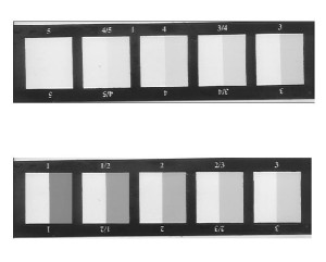 Scala dei grigi dello scarico Gray scale of transfer